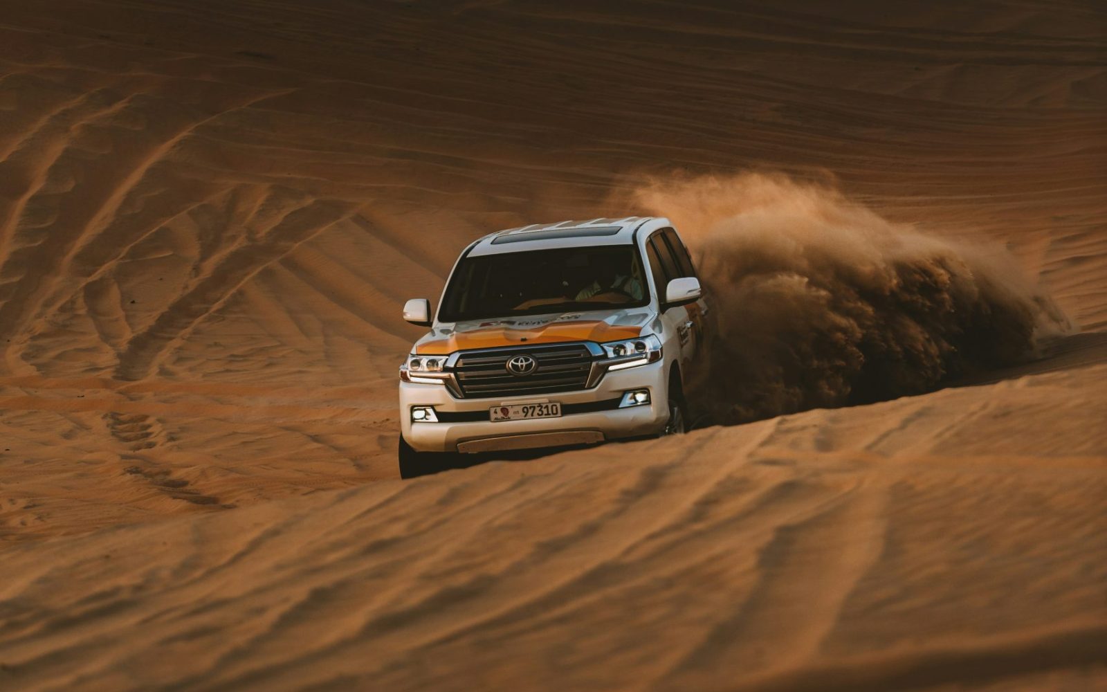 Desert Safari
