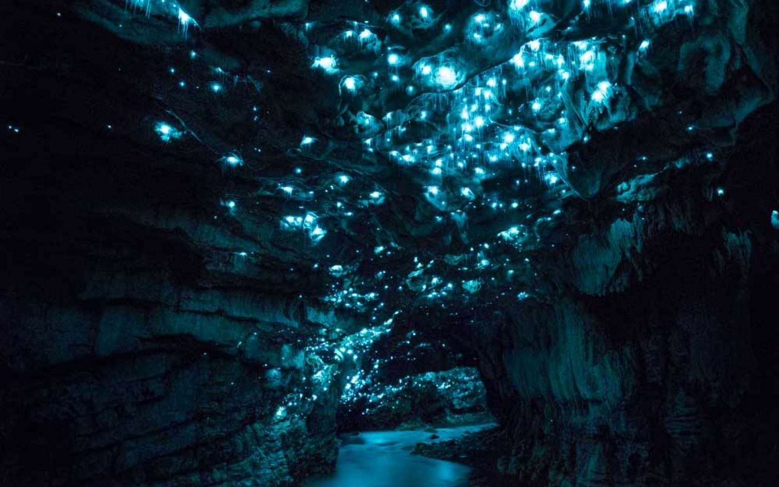 Waitomo Glowworm Caves