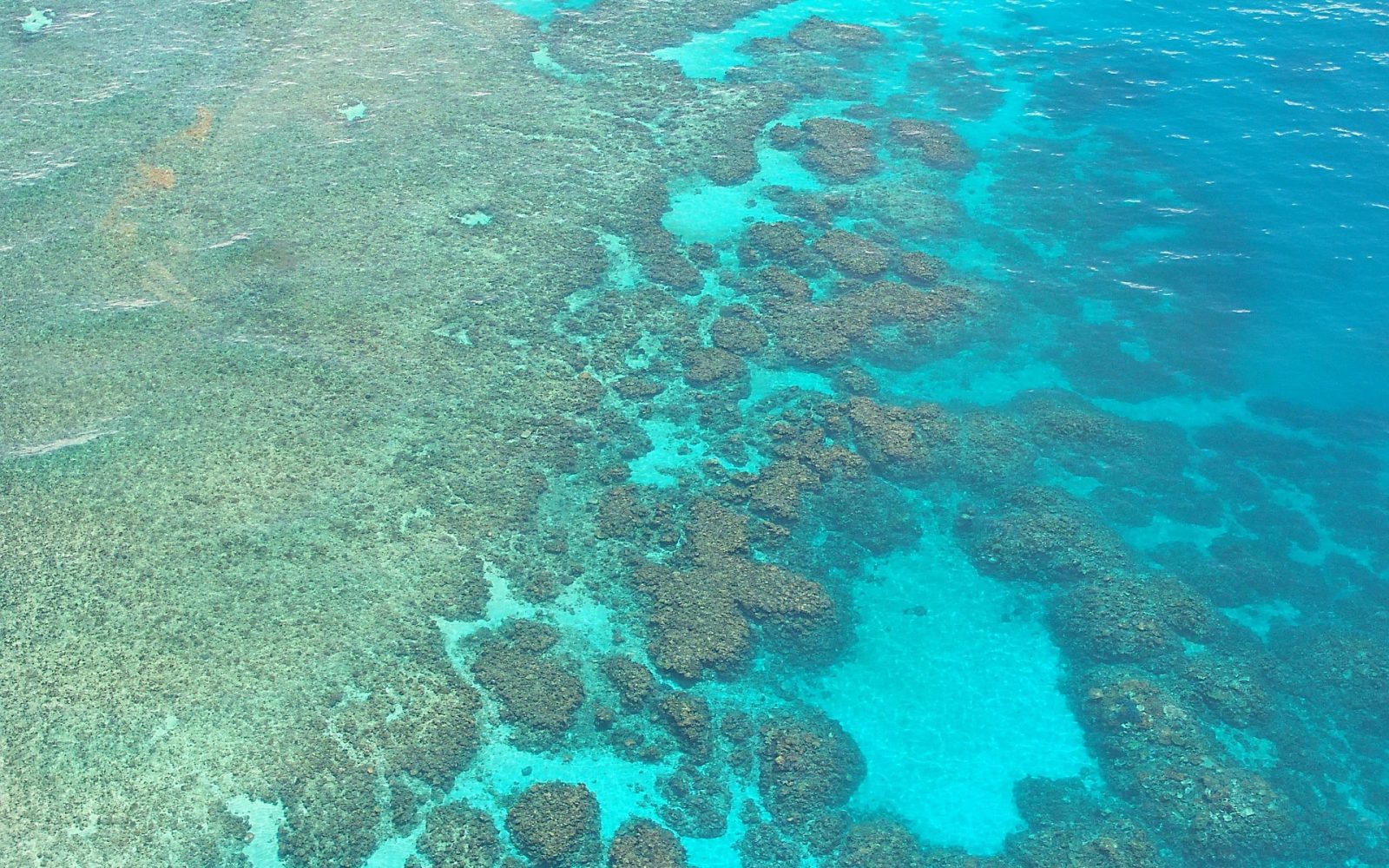 great-barrier-reef-261727_1920