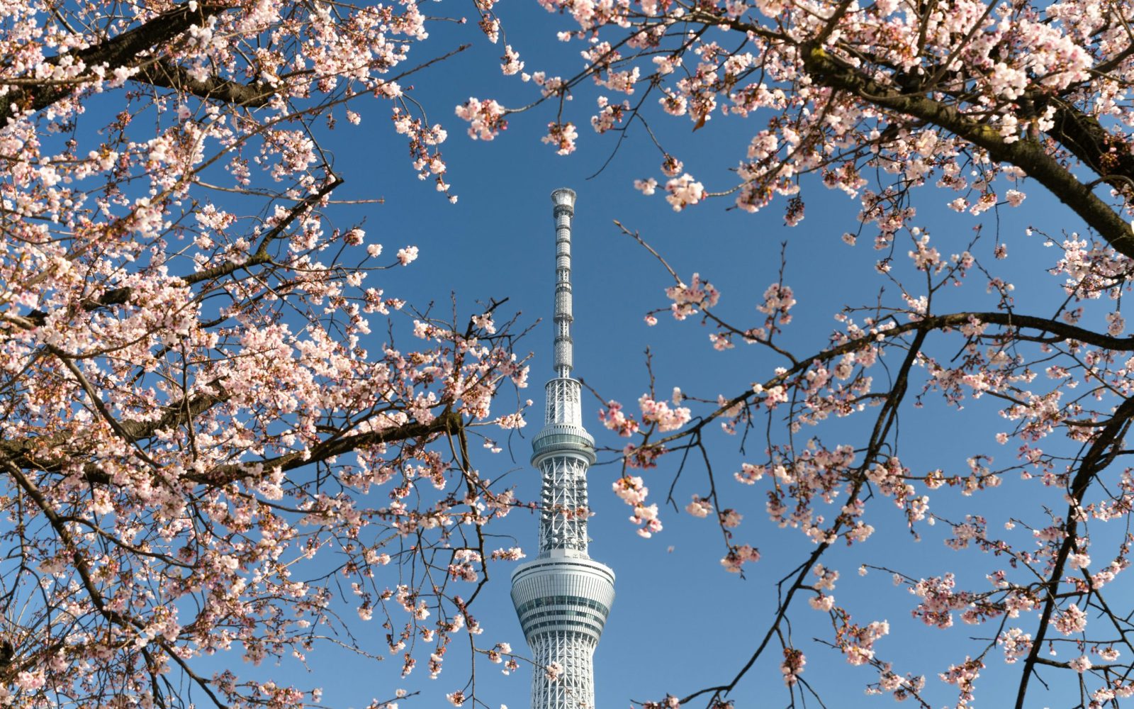 tokyo skytree